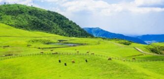 Field of Kyushu