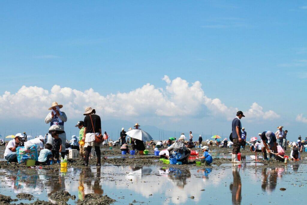 Clam digging