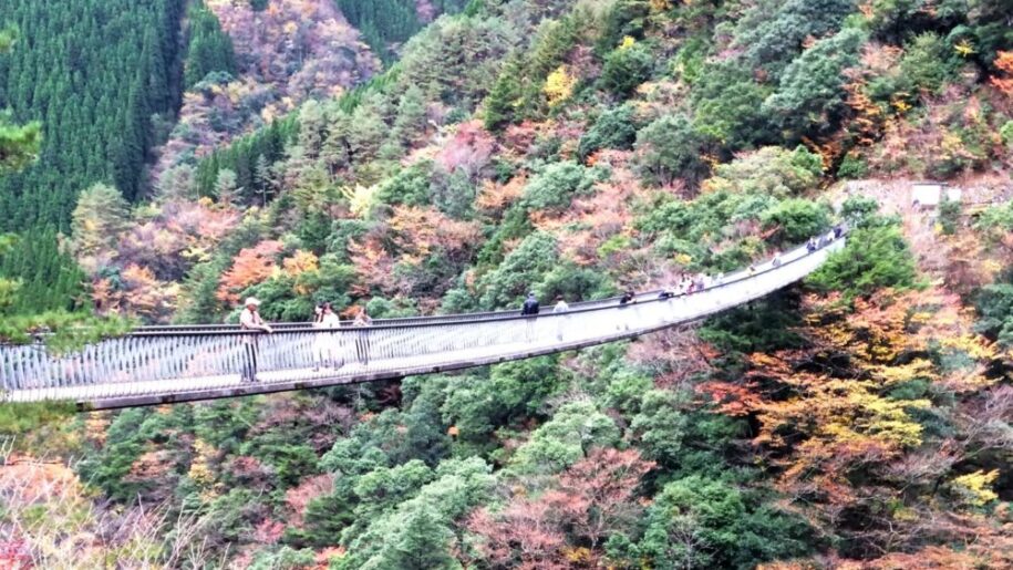 umenoki todoroki park suspention bridge