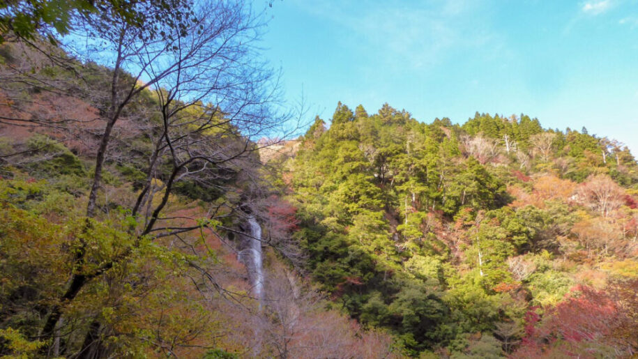 Aso Kuju Hiking